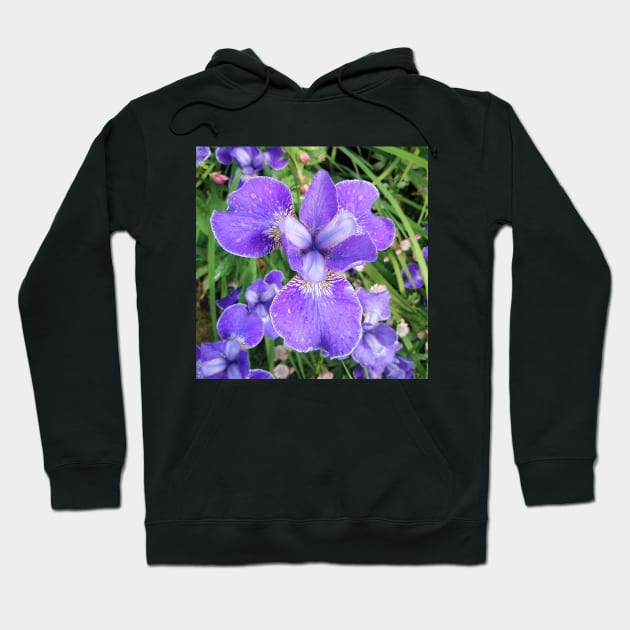 Purple Iris Hoodie by bettyretro